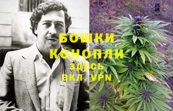 эйфоретик Белоозёрский